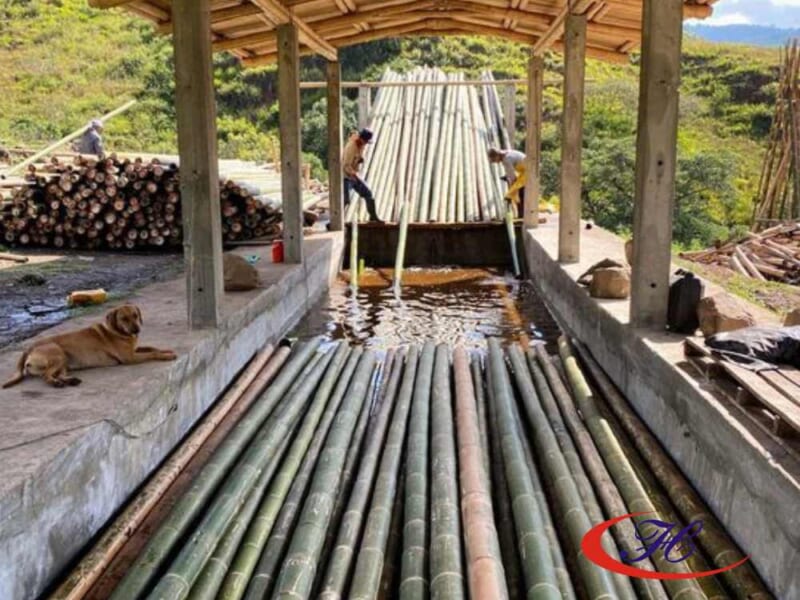 Cấu tạo và quy trình sản xuất sàn tre 