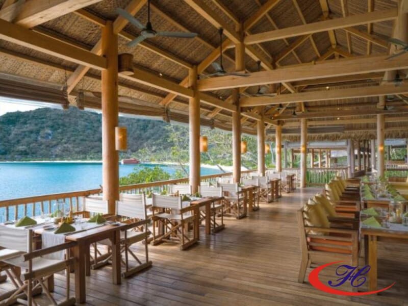 Ứng dụng của gỗ biến tính chống mối mọt