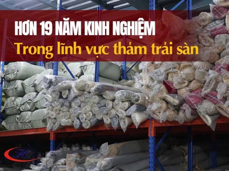 19 năm kinh nghiệm